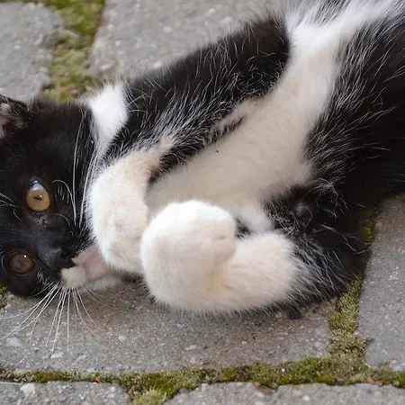 Apartman Bauernhof Unterkrug Gnesau