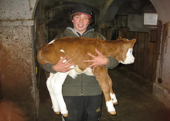 Apartment Bauernhof Unterkrug Gnesau