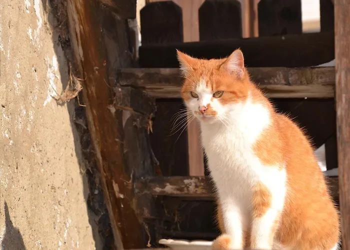 Apartment Bauernhof Unterkrug *